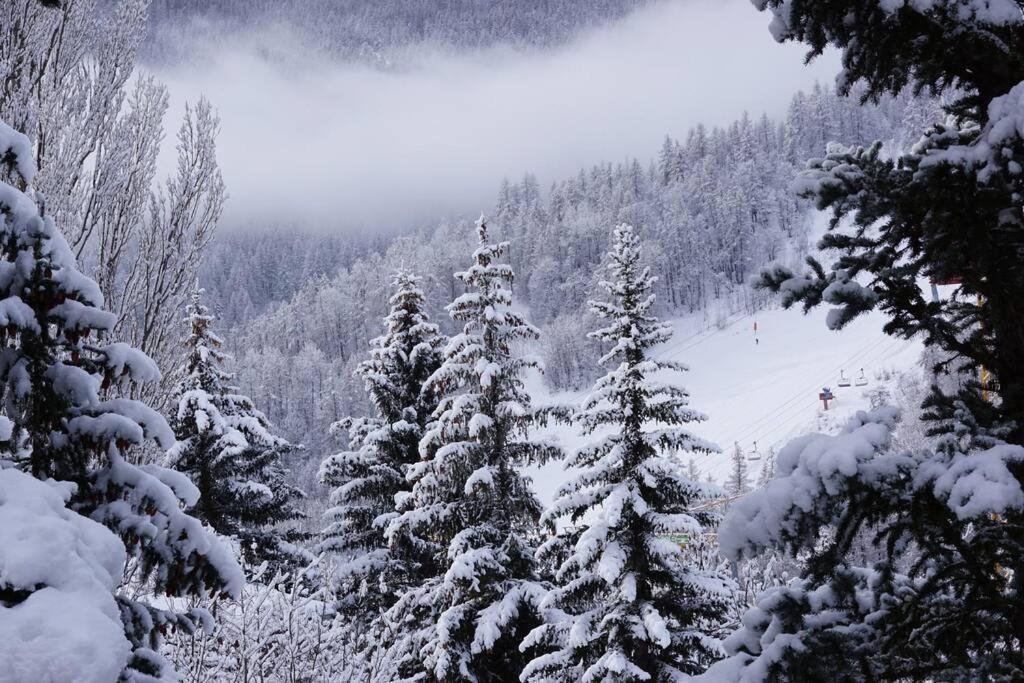 Serre Chevalier,Chantemerle,T2 Proche Pistes Saint-Chaffrey Eksteriør bilde